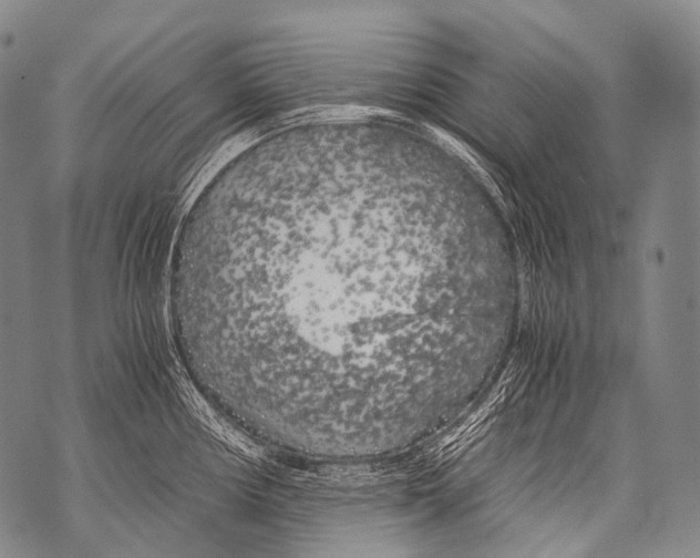 X0000071841194200607290100