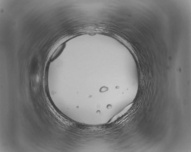 X0000071841195200607290100