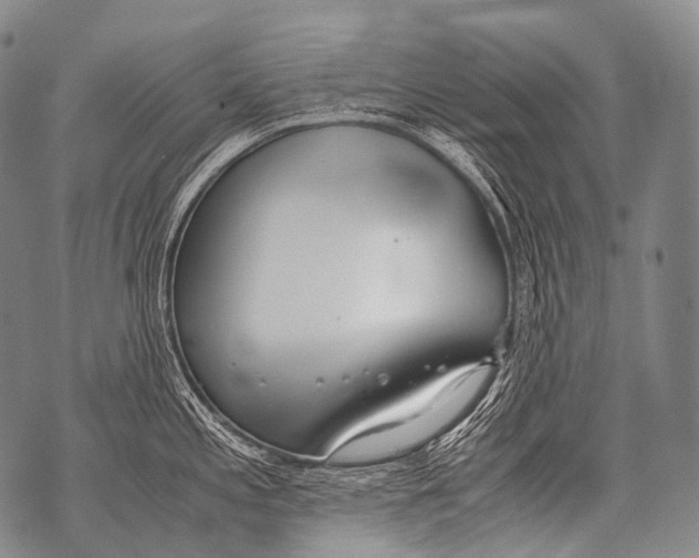 X0000071841197200607290100