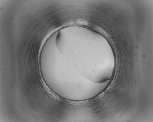 X0000071841200200607290100