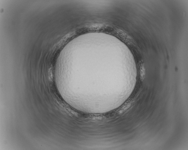X0000071841204200607290059