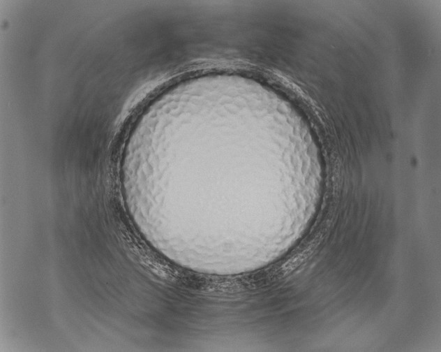 X0000071841215200607290059