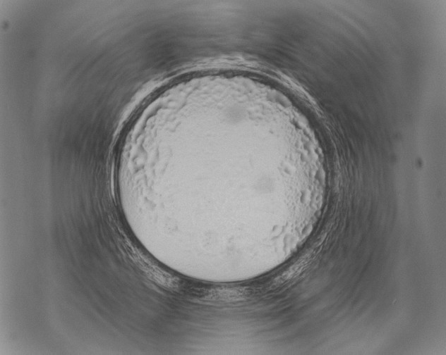 X0000071841224200607290059