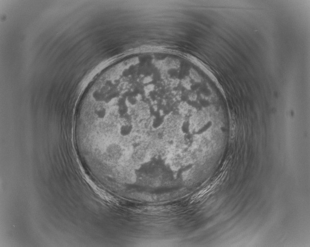 X0000071841245200607290100