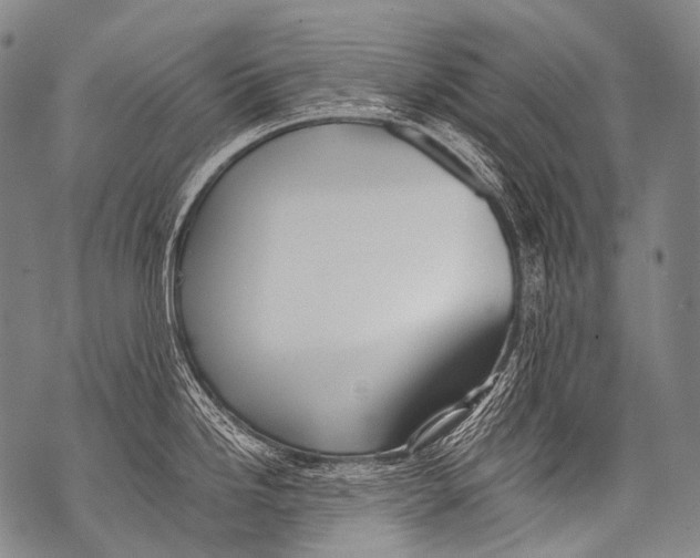 X0000071841246200607290100