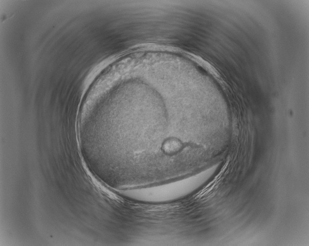 X0000071841247200607290100