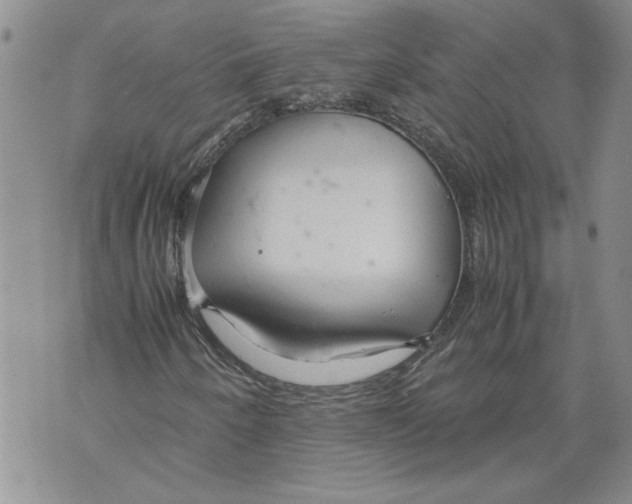 X0000071841250200607290059
