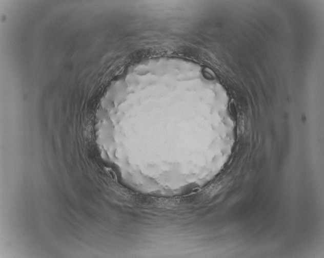 X0000071841251200607290059