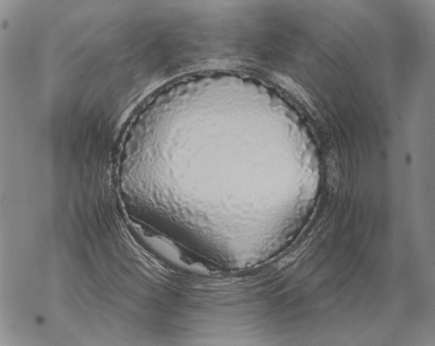 X0000071841260200607290059