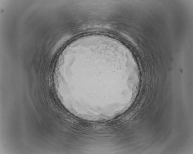 X0000071841267200607290058