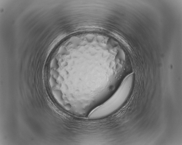 X0000071841283200607290058