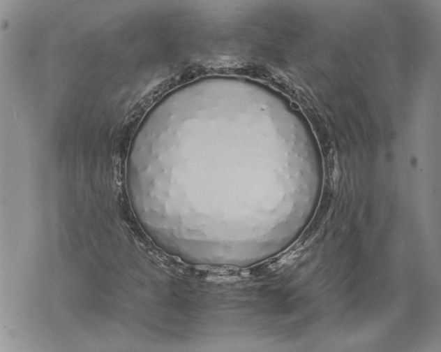 X0000071841301200607290057