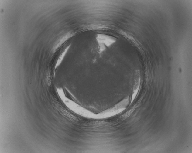 X0000071841306200607290057