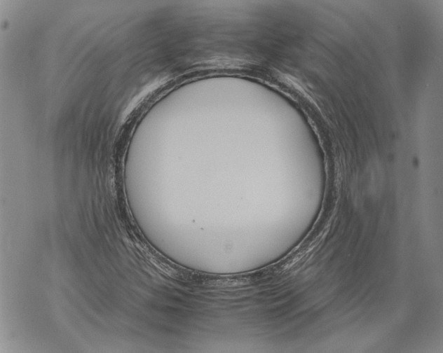 X0000071841307200607290057