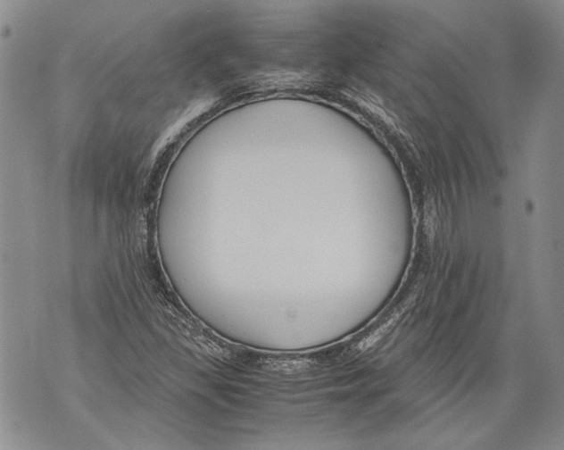 X0000071841309200607290057