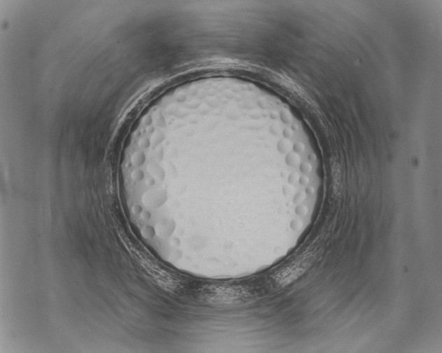 X0000071841318200607290058