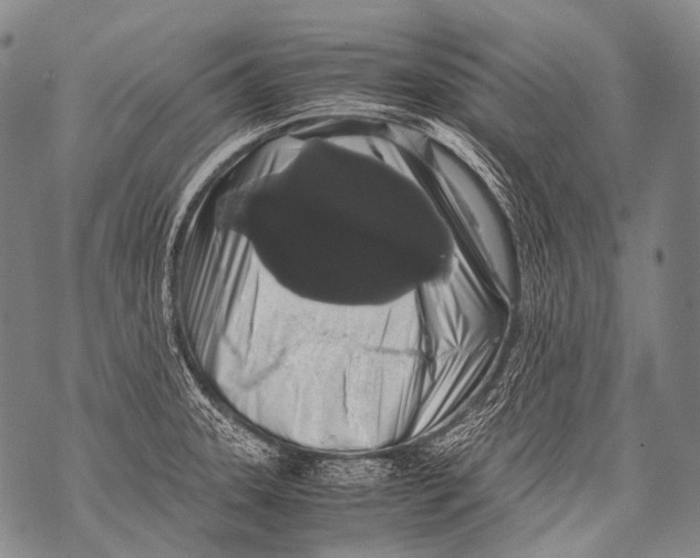 X0000071841331200607290058