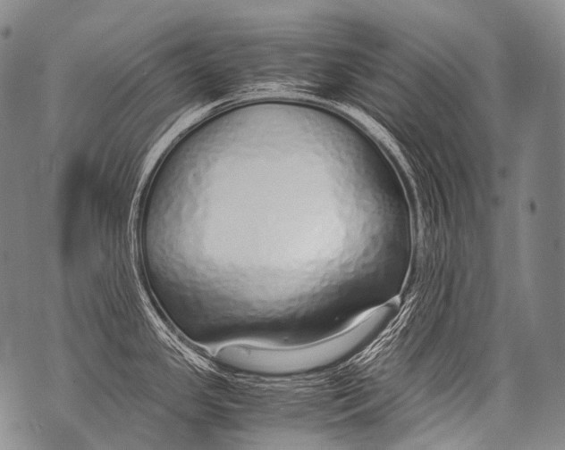 X0000071841341200607290058