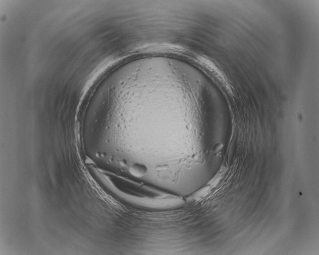 X0000071841376200607290057