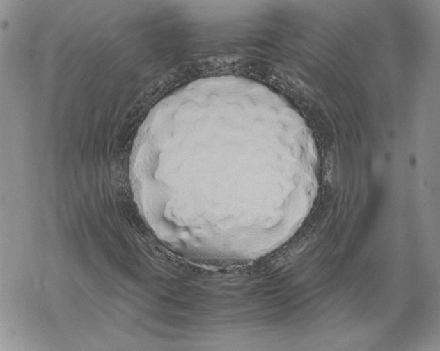X0000071841395200607290056