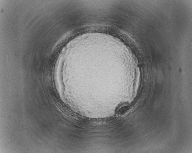 X0000071841403200607290056