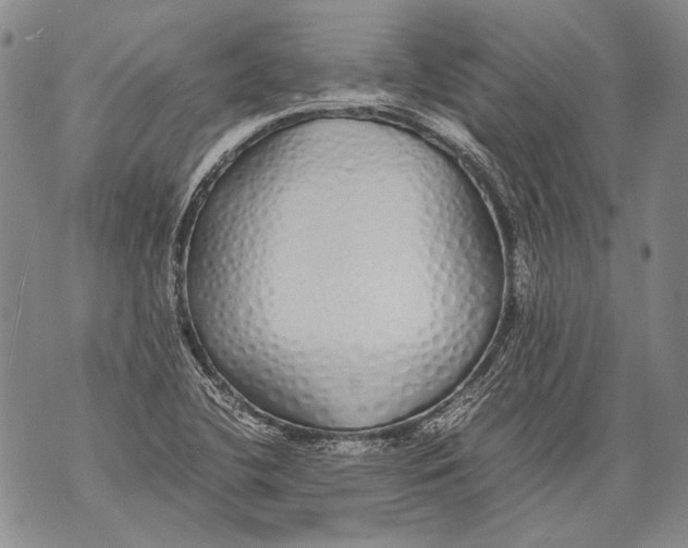 X0000071841412200607290056