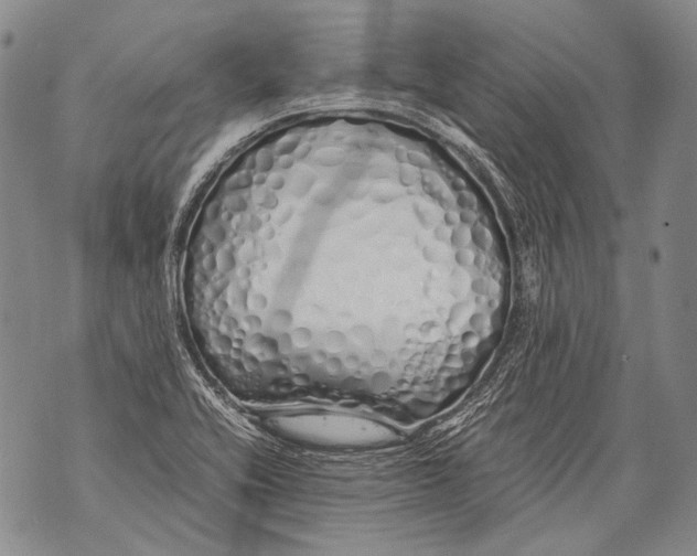 X0000071841416200607290056