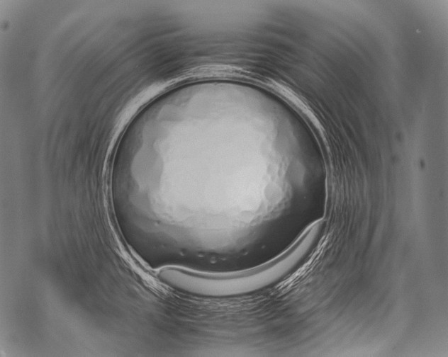 X0000071841437200607290056