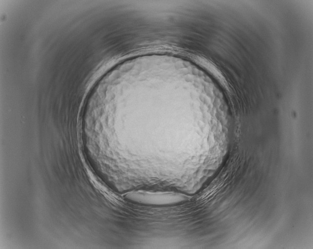 X0000071841439200607290056