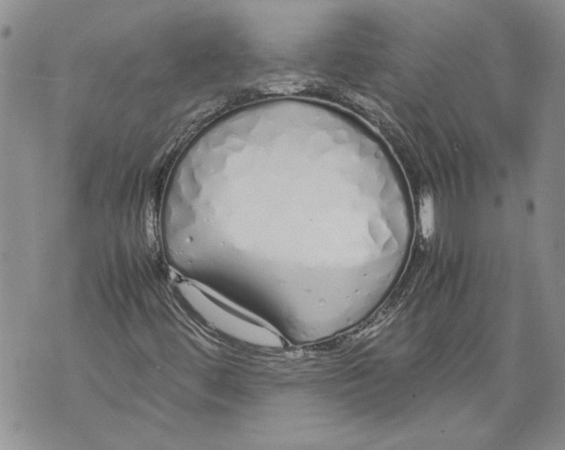 X0000071841444200607290056