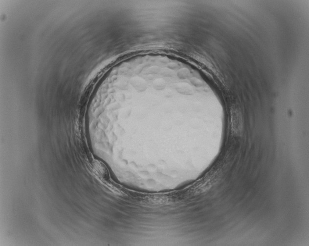 X0000071841452200607290056