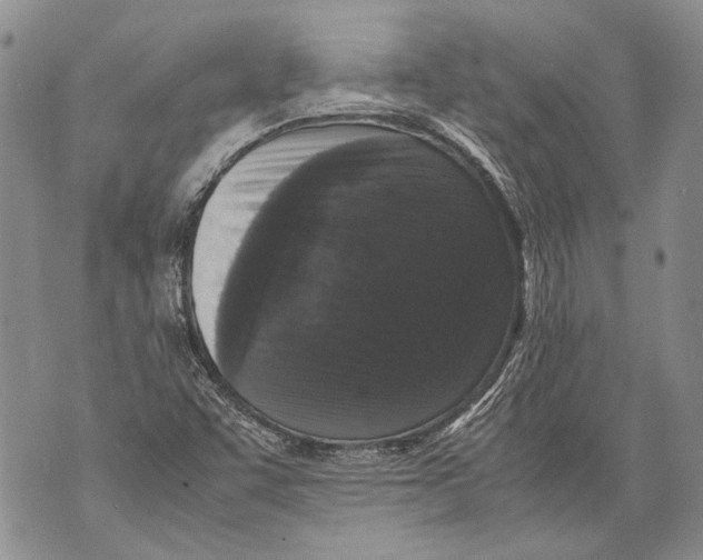 X0000071841455200607290055