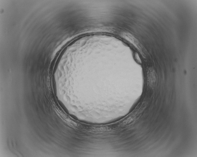 X0000071841460200607290055