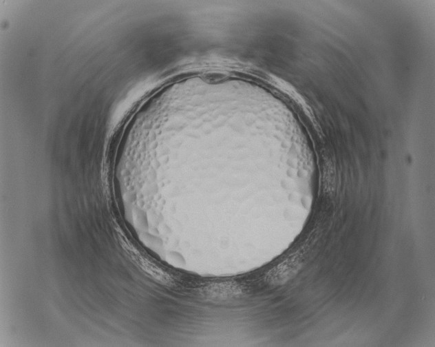X0000071841464200607290055