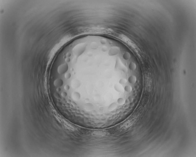 X0000071841480200607290055