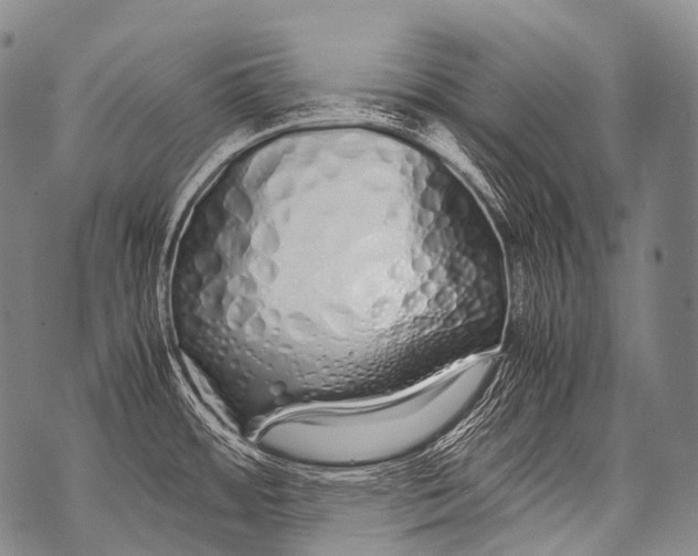 X0000071841484200607290055