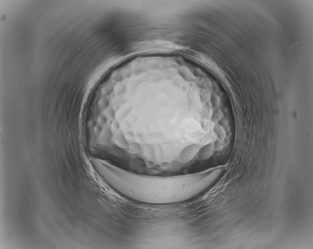 X0000071841488200607290055
