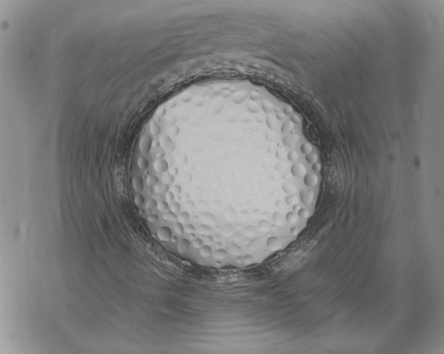 X0000071841490200607290054