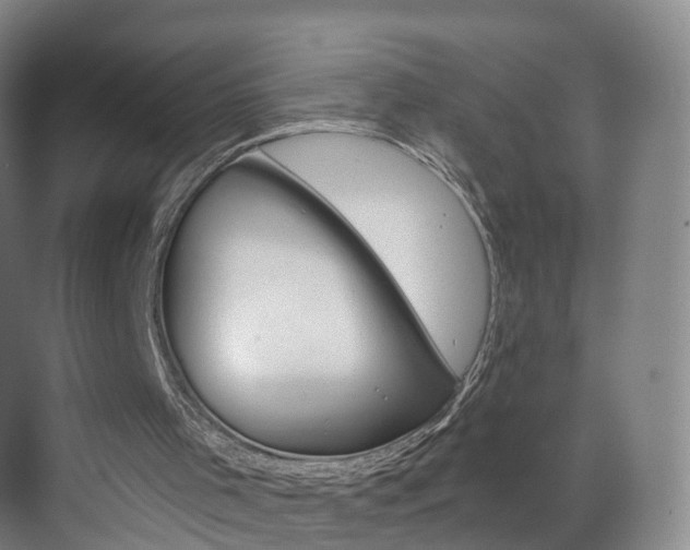 X0000071850001200606301142