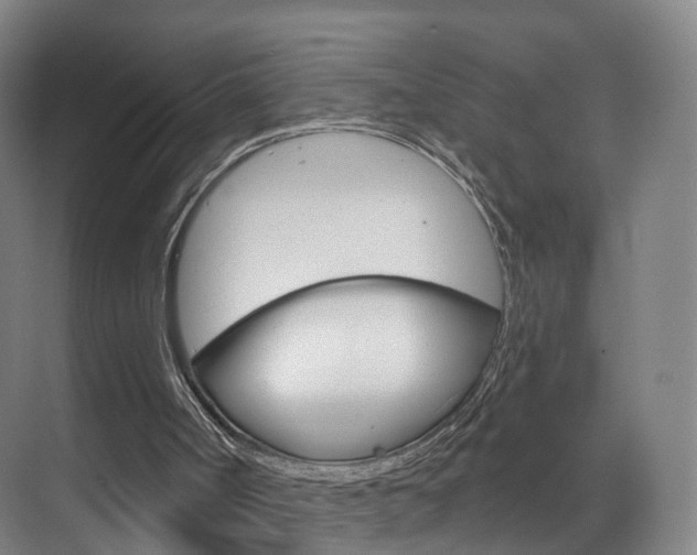 X0000071850002200606301142