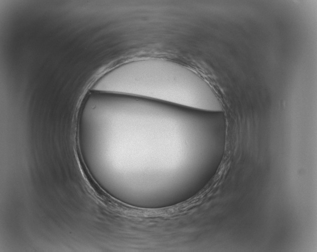 X0000071850003200606301142