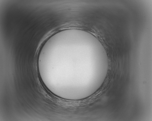 X0000071850004200606301142