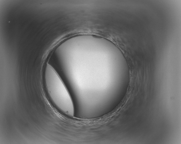 X0000071850005200606301142