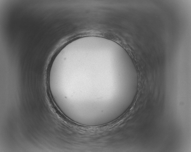 X0000071850006200606301142