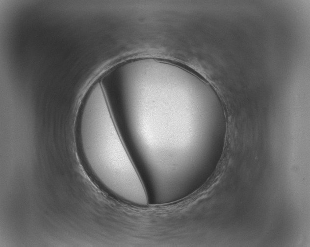 X0000071850007200606301142