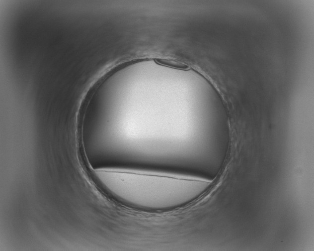 X0000071850008200606301142