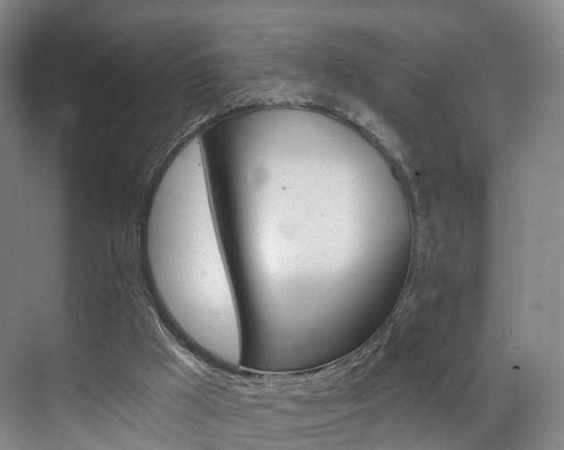 X0000071850009200606301142