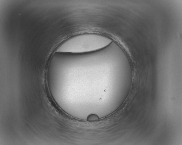 X0000071850010200606301142