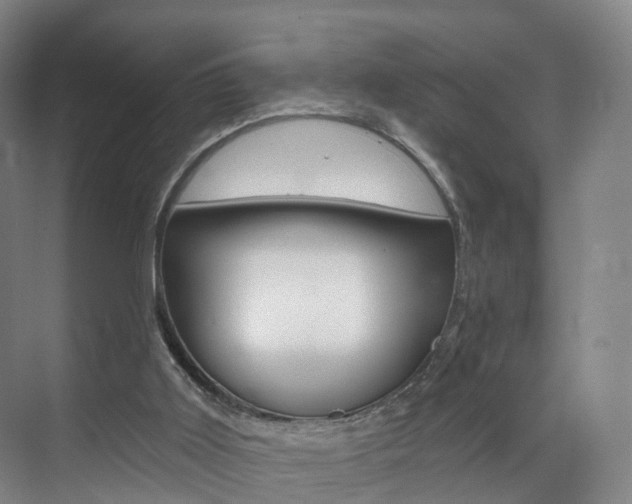 X0000071850011200606301142