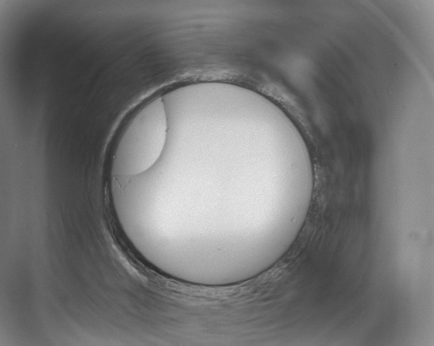 X0000071850012200606301142